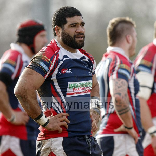 Will Hafu. Doncaster Knights v Leeds Carnegie at Castle Park, Doncaster on 16th January 2013, KO 1430. RFU Championship - Stage 1.